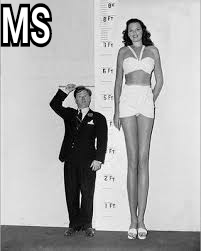 The Most Average Man in the World (Statistically Speaking)
