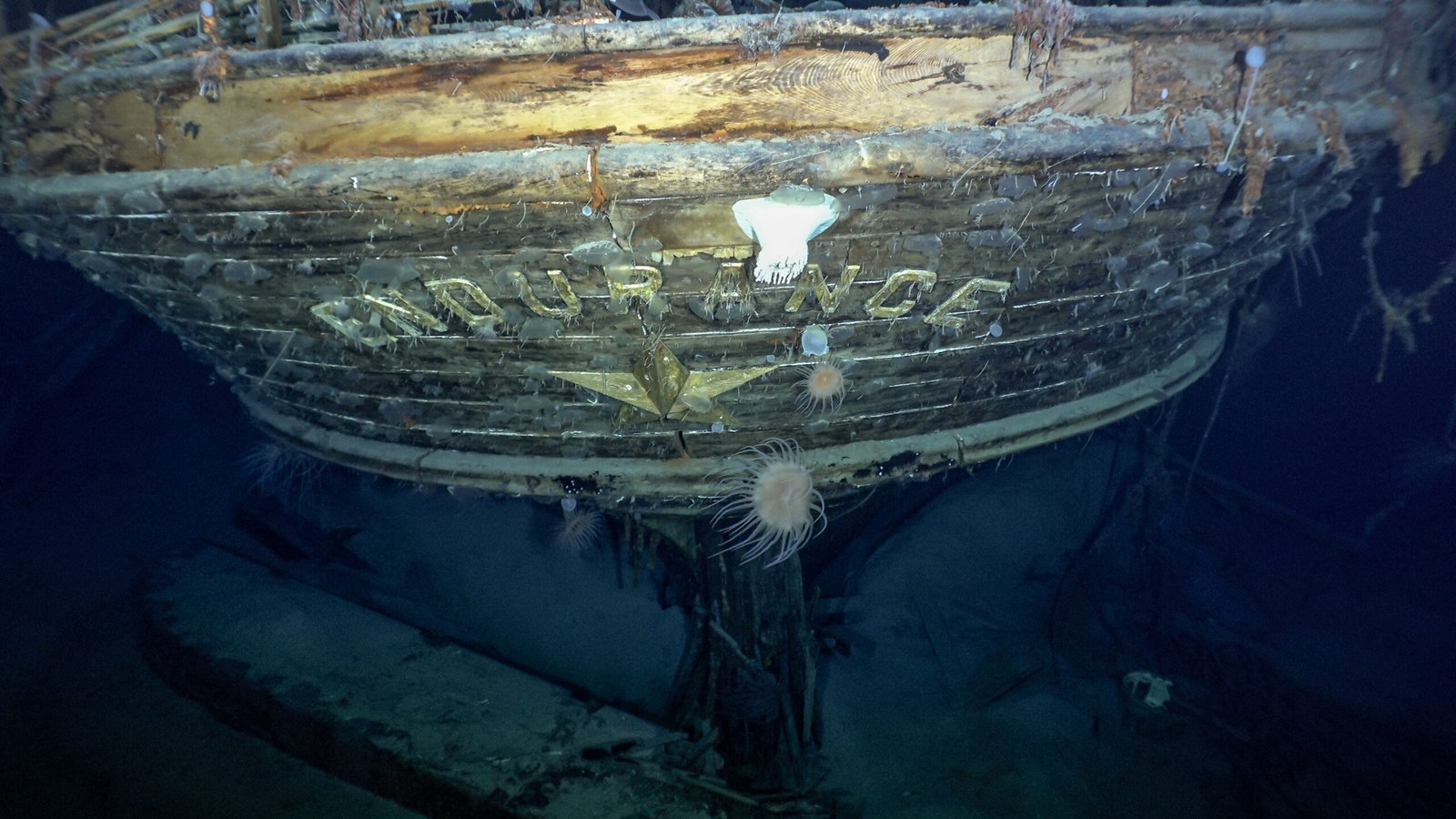 Endurance (1915): Shackleton’s Ship Rises from the Depths (image credits: wikimedia)