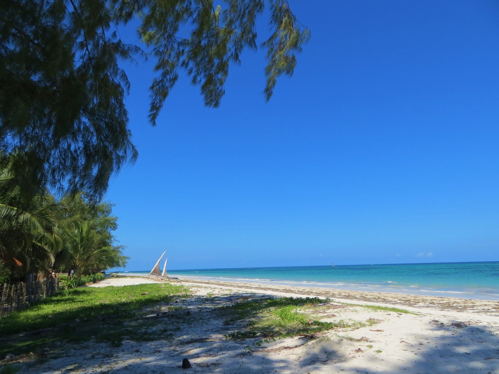 Diani Beach, Kenya (image credits: wikimedia)
