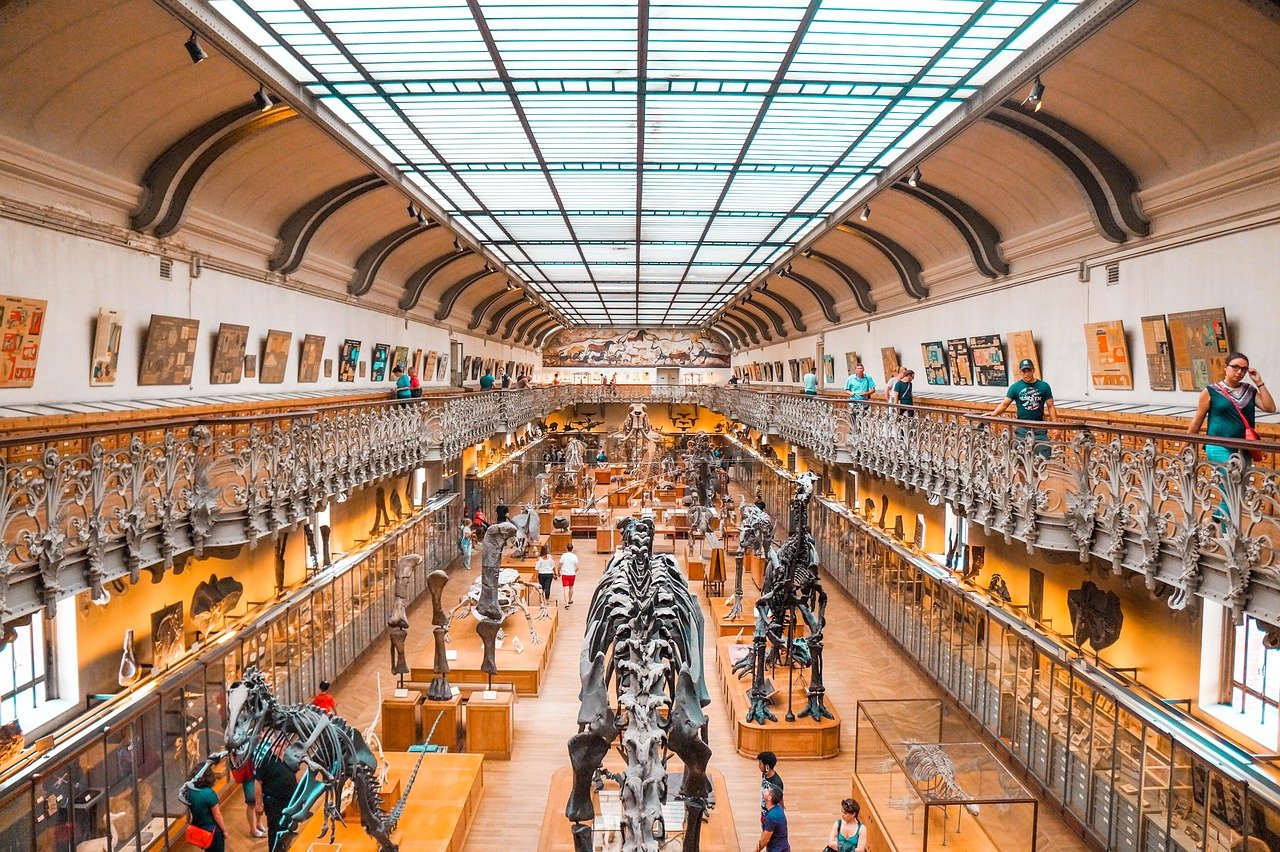 Sapiens: A Brief History of Humankind by Yuval Noah Harari (image credits: pixabay)