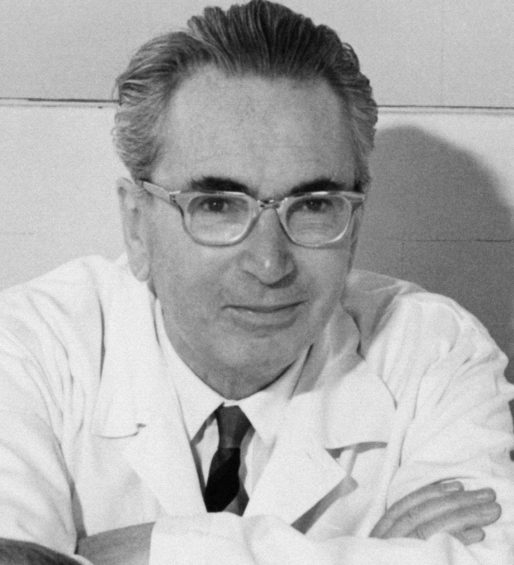 Man’s Search for Meaning by Viktor E. Frankl (image credits: wikimedia)