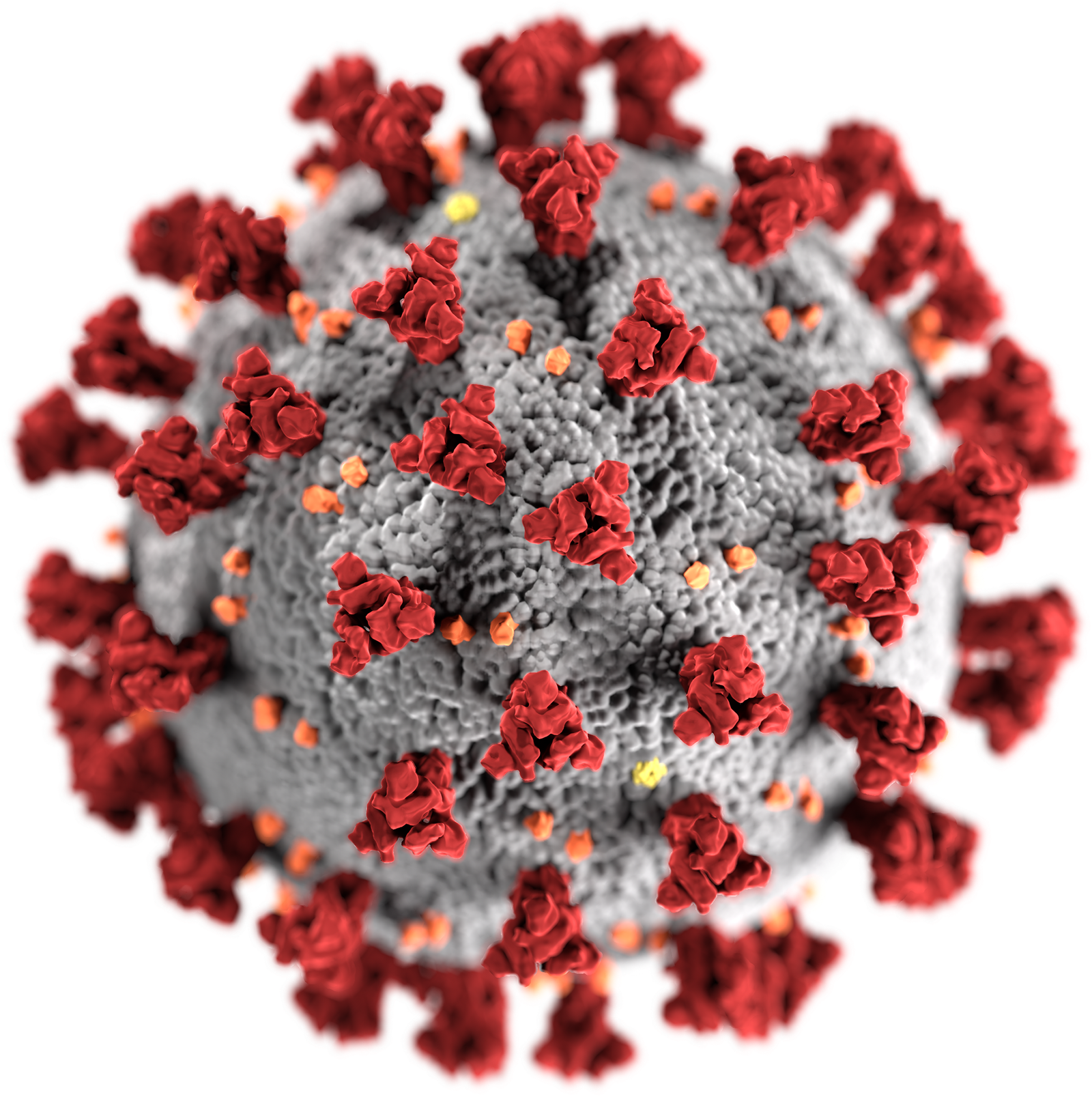 Pandemics and Human Resilience (image credits: wikimedia)