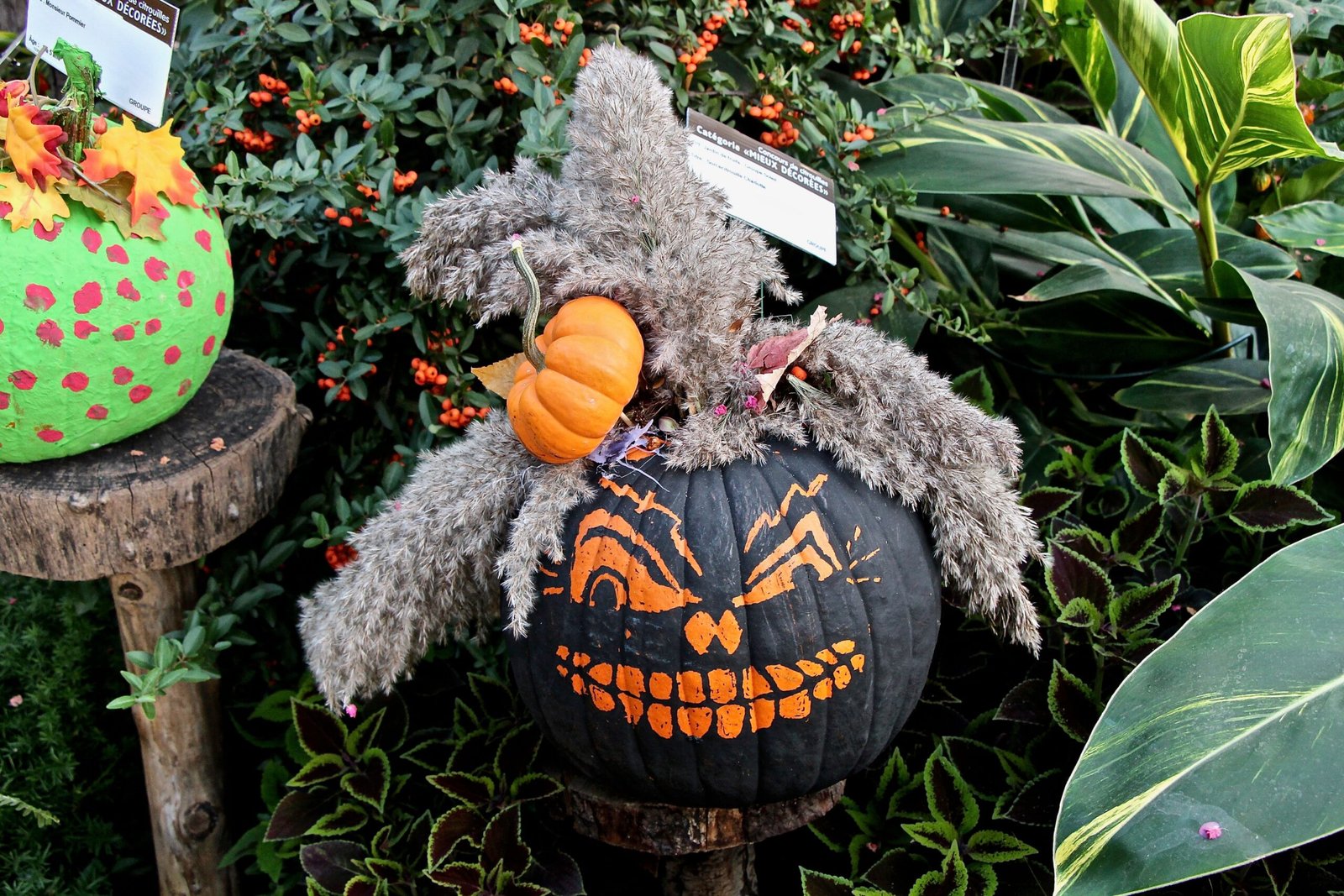 It's the Great Pumpkin, Charlie Brown (1966) (image credits: wikimedia)
