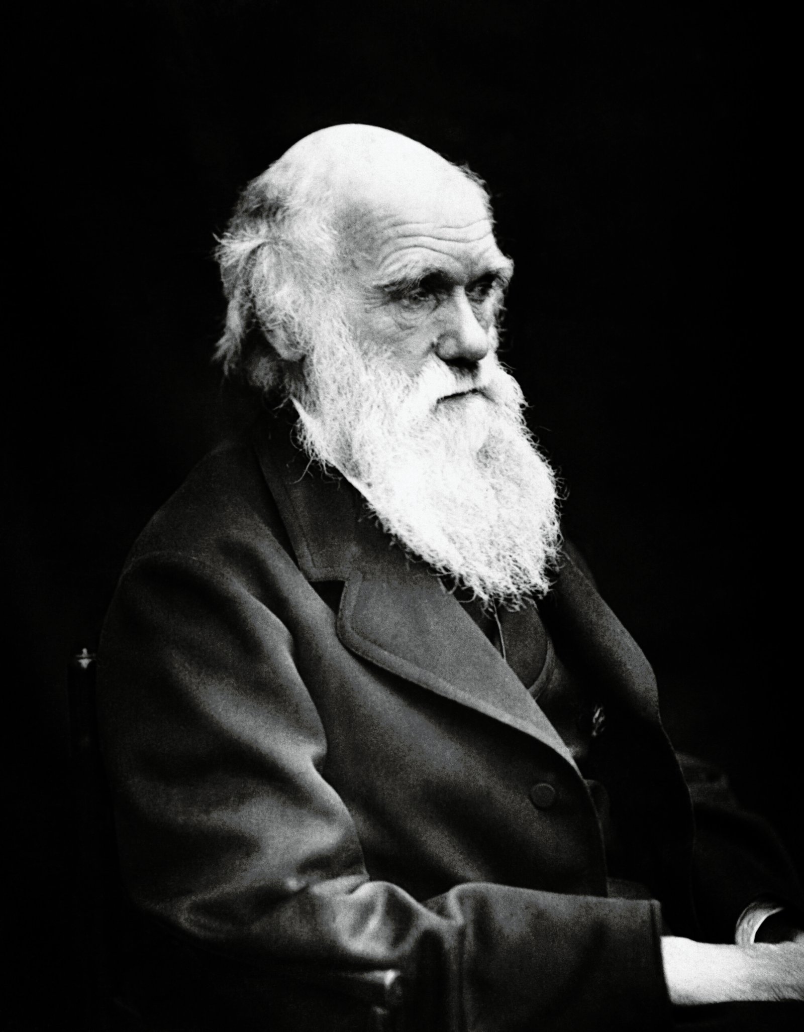 Charles Darwin: The Father of Evolution (image credits: wikimedia)
