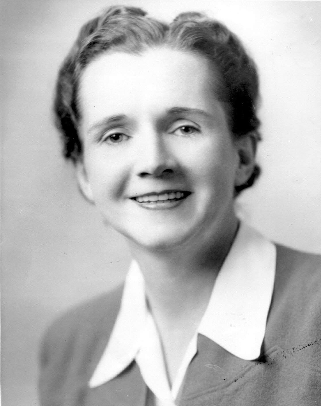 Rachel Carson: The Voice for Nature (image credits: wikimedia)