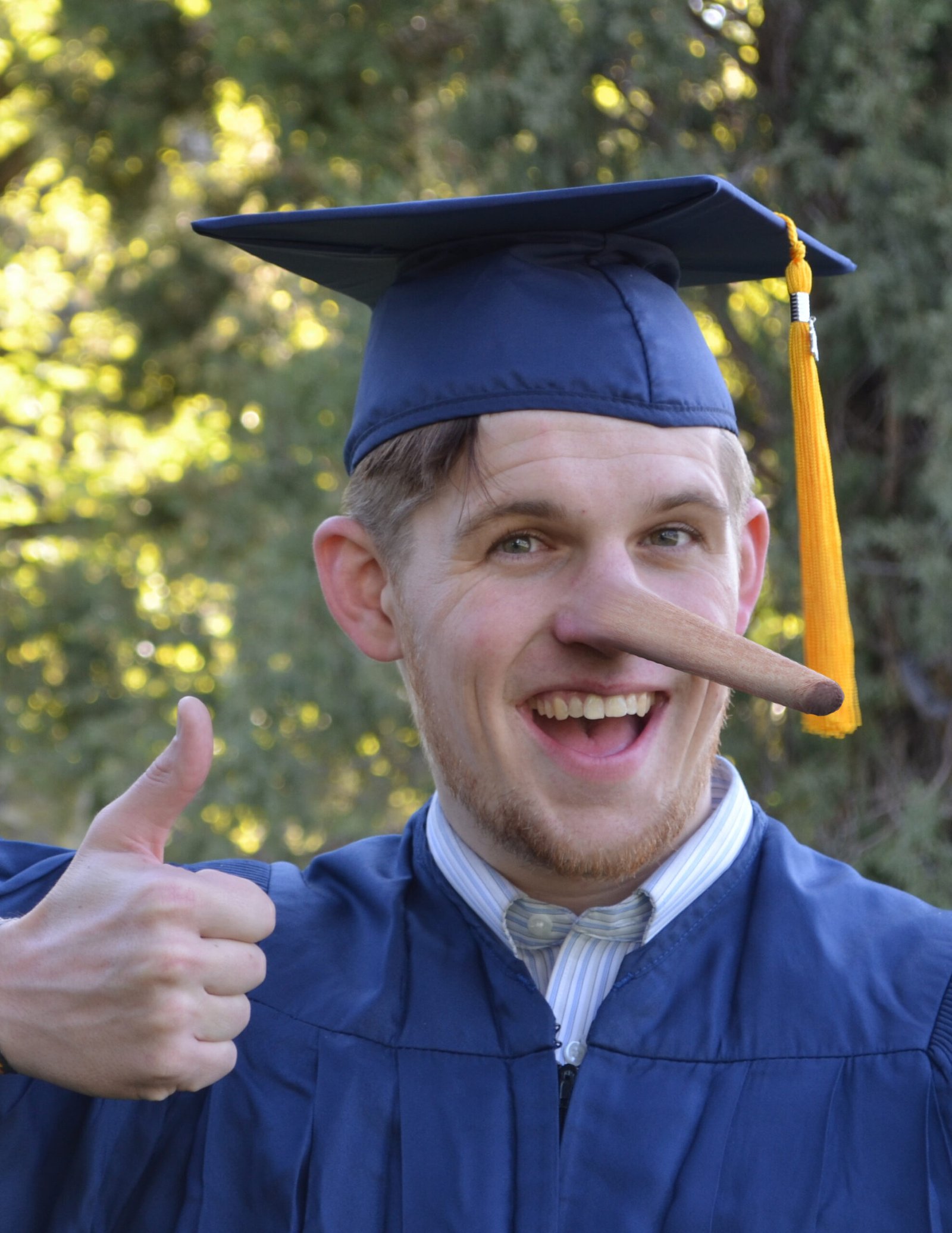 The Sokal Affair (1996) (image credits: wikimedia)