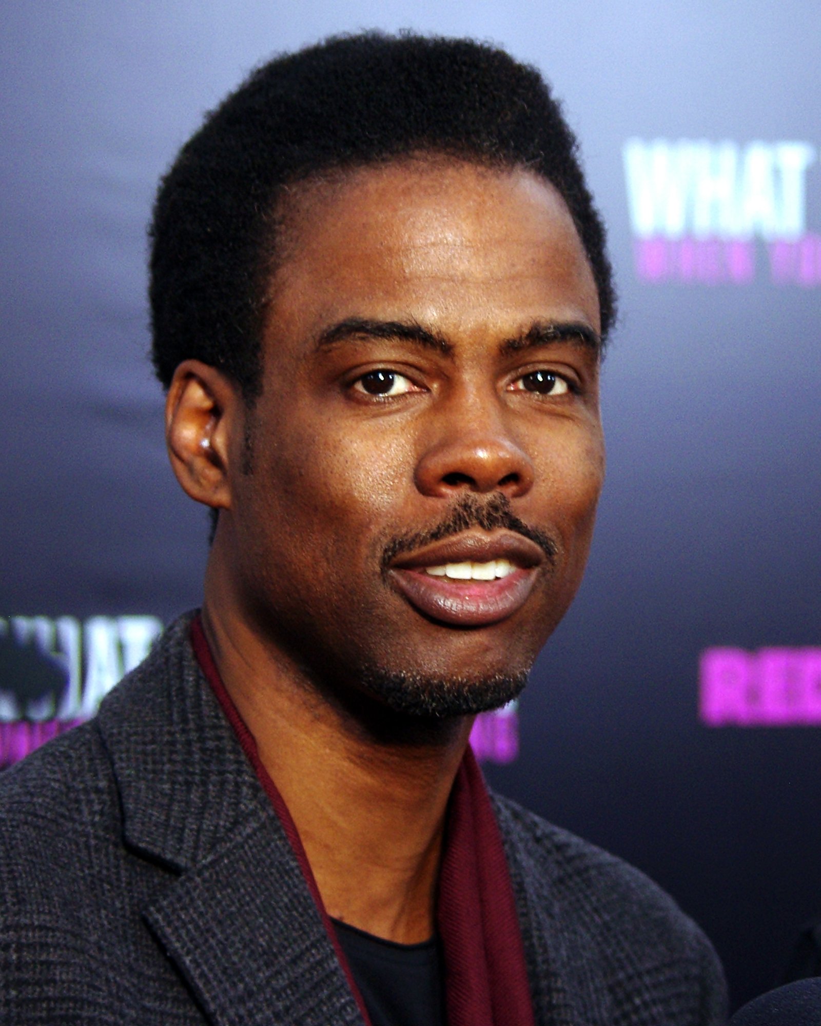 Chris Rock: Bring the Pain (1996) (image credits: wikimedia)