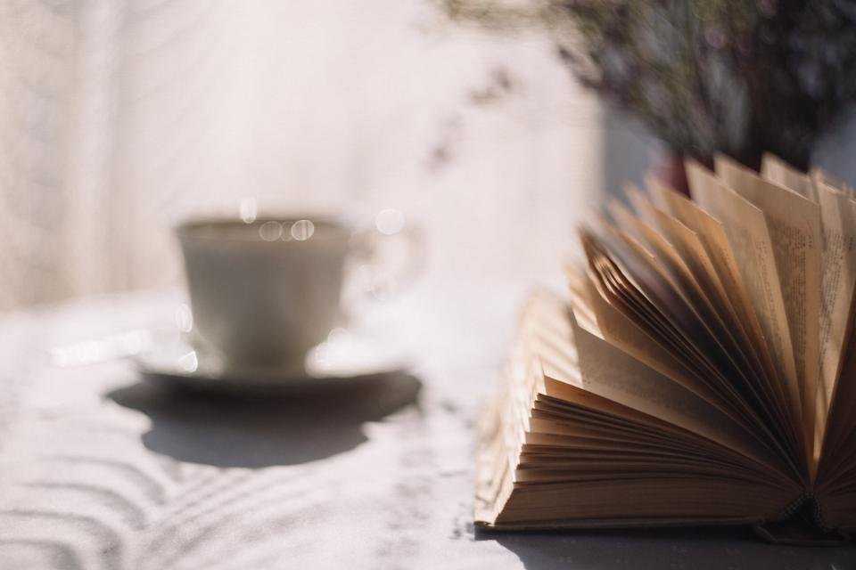 Desperate Characters by Paula Fox (image credits: stocksnap)