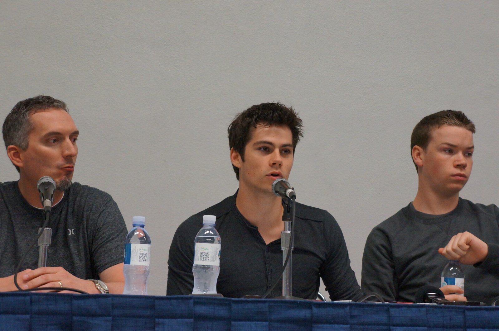 The Maze Runner by James Dashner (image credits: wikimedia)