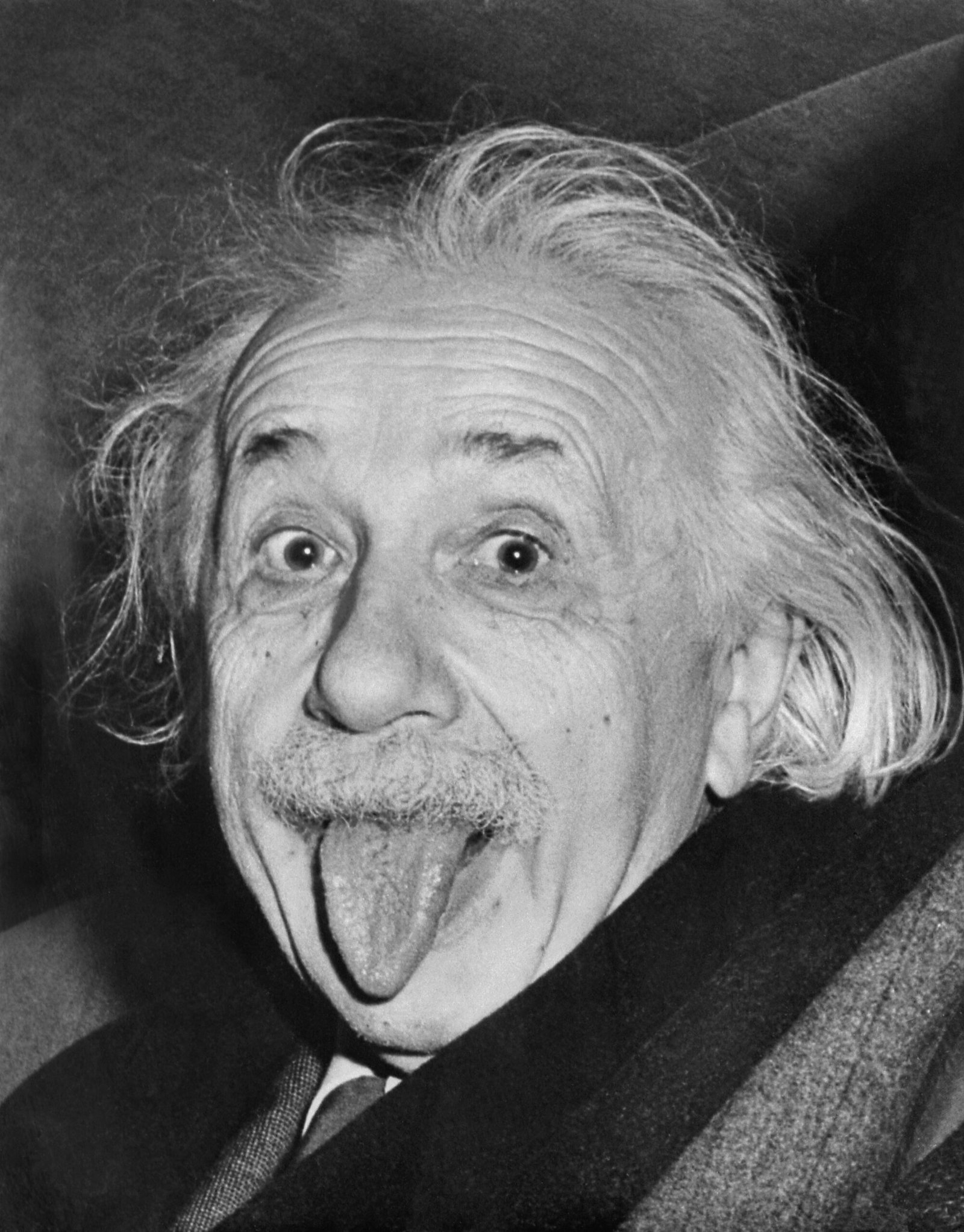 Albert Einstein: The Mind That Bent the Universe (image credits: wikimedia)