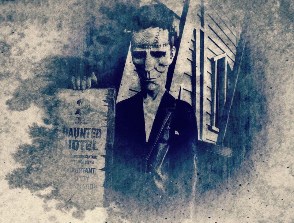 Frankenstein – Mary Shelley (image credits: stocksnap)