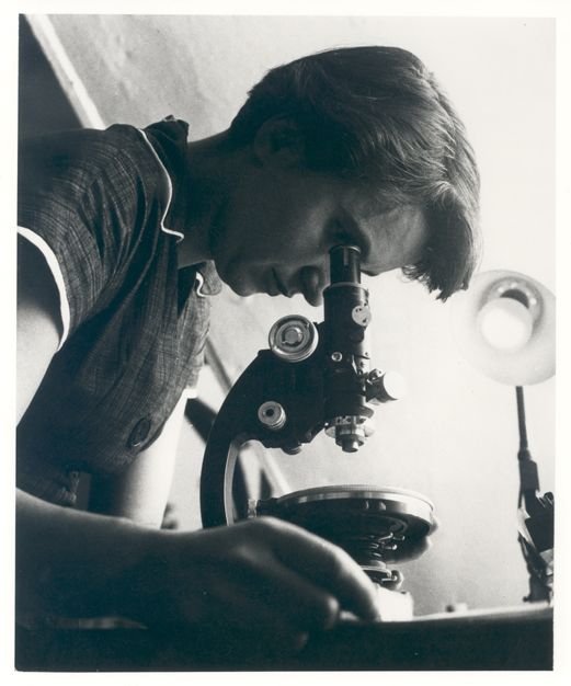 Rosalind Franklin: The Unseen Architect of DNA (image credits: wikimedia)