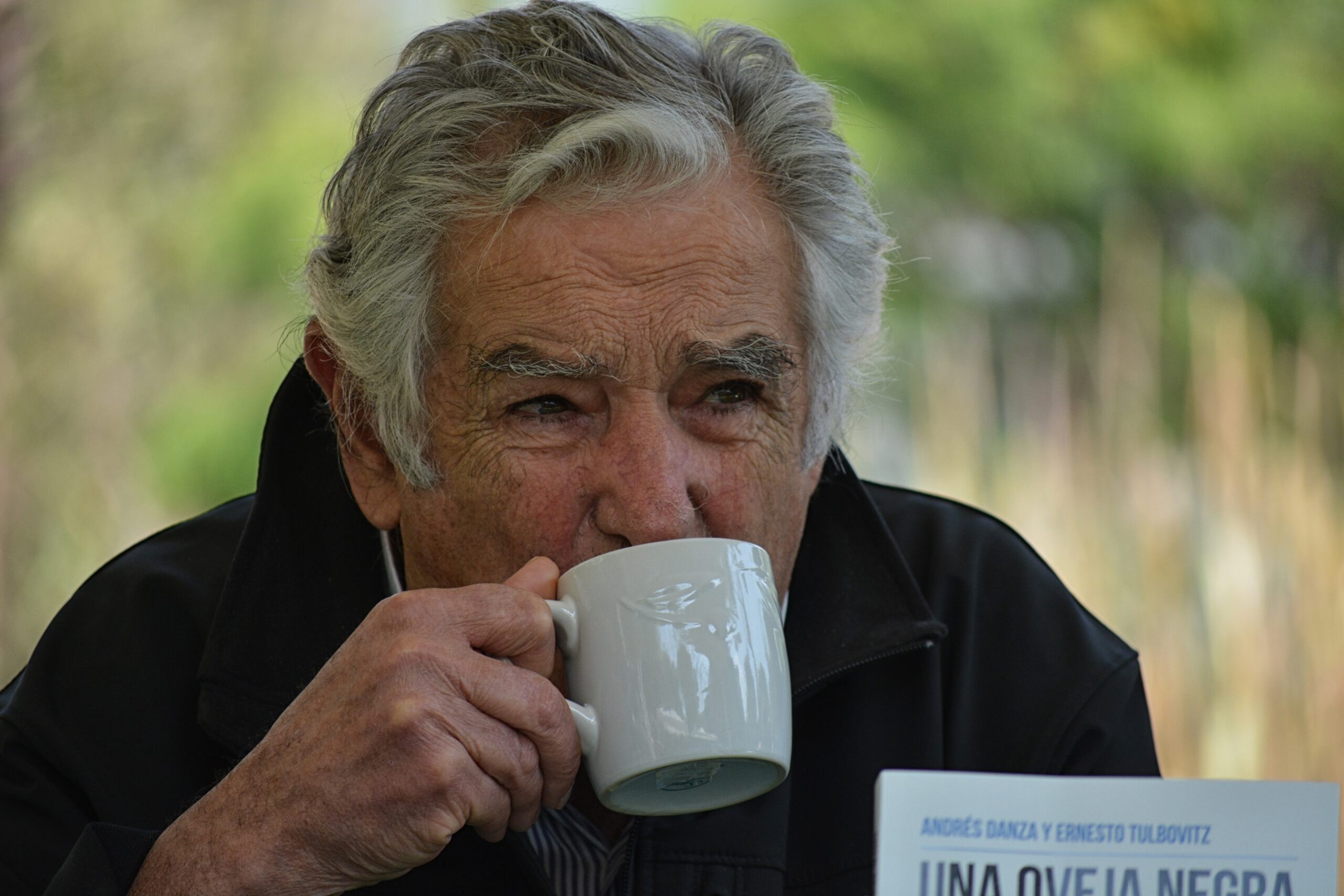A Global Icon: Inspiring Hope Beyond Uruguay (image credits: wikimedia)