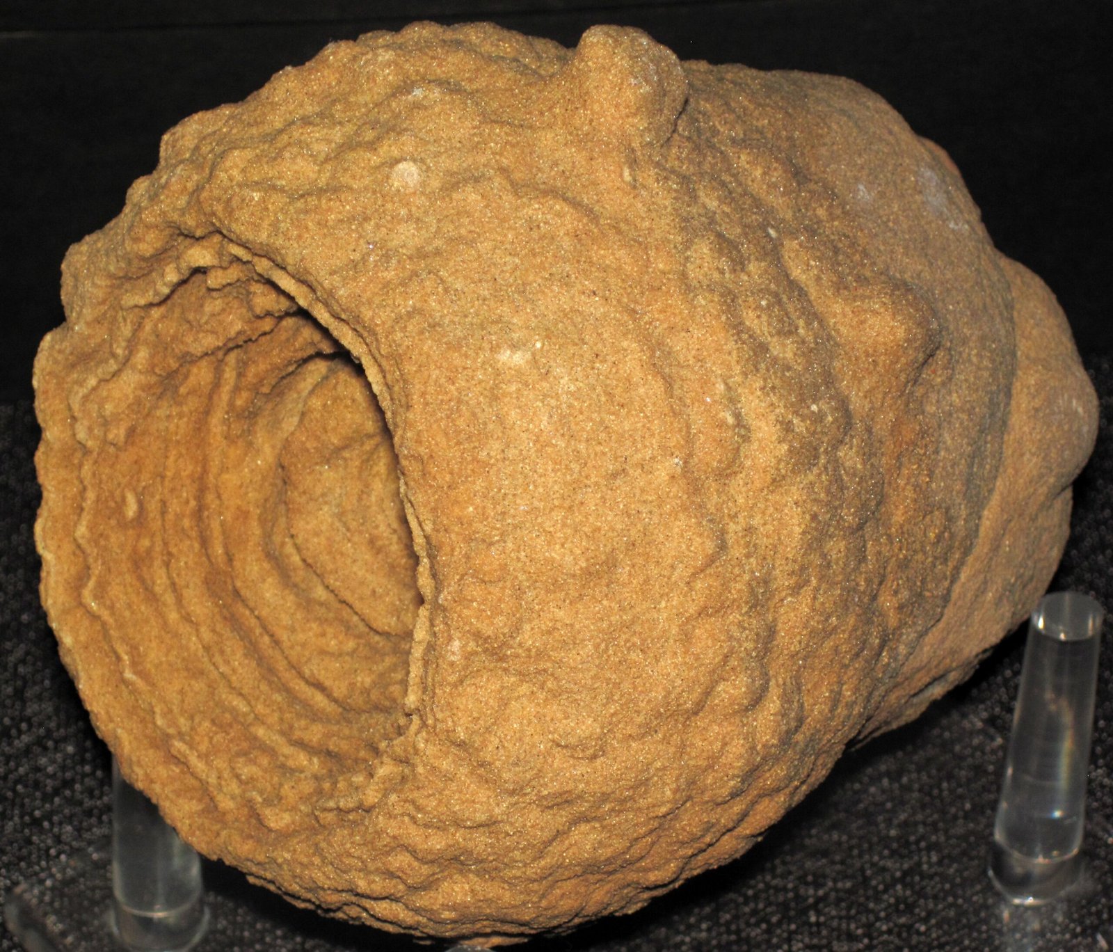 The Nature of Concretions Explained (image credits: wikimedia)