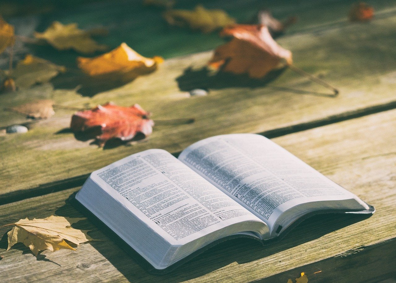 The Bible (or Any Major Religious Text) (image credits: pixabay)