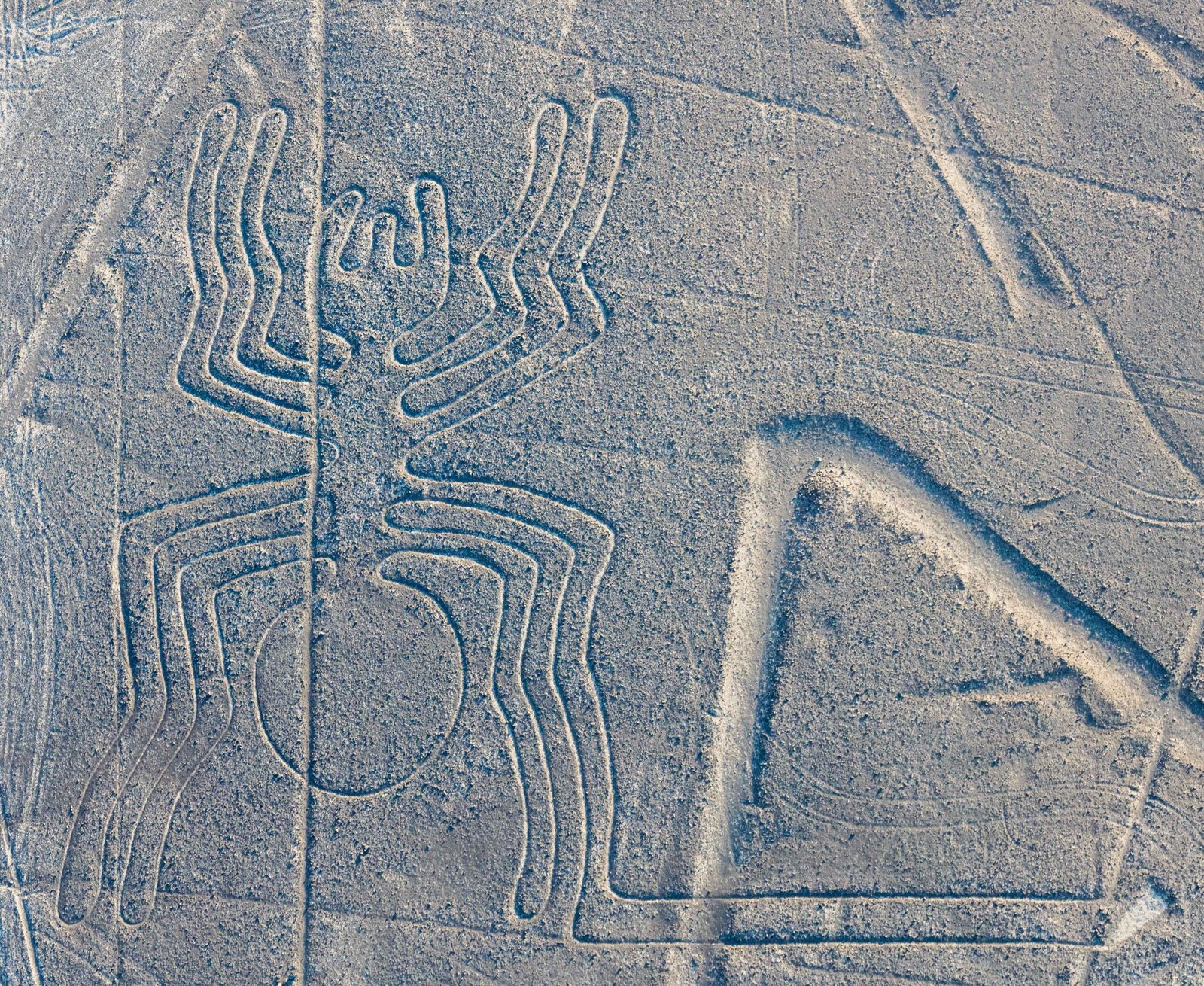 The Nazca Lines (Peru) (image credits: wikimedia)