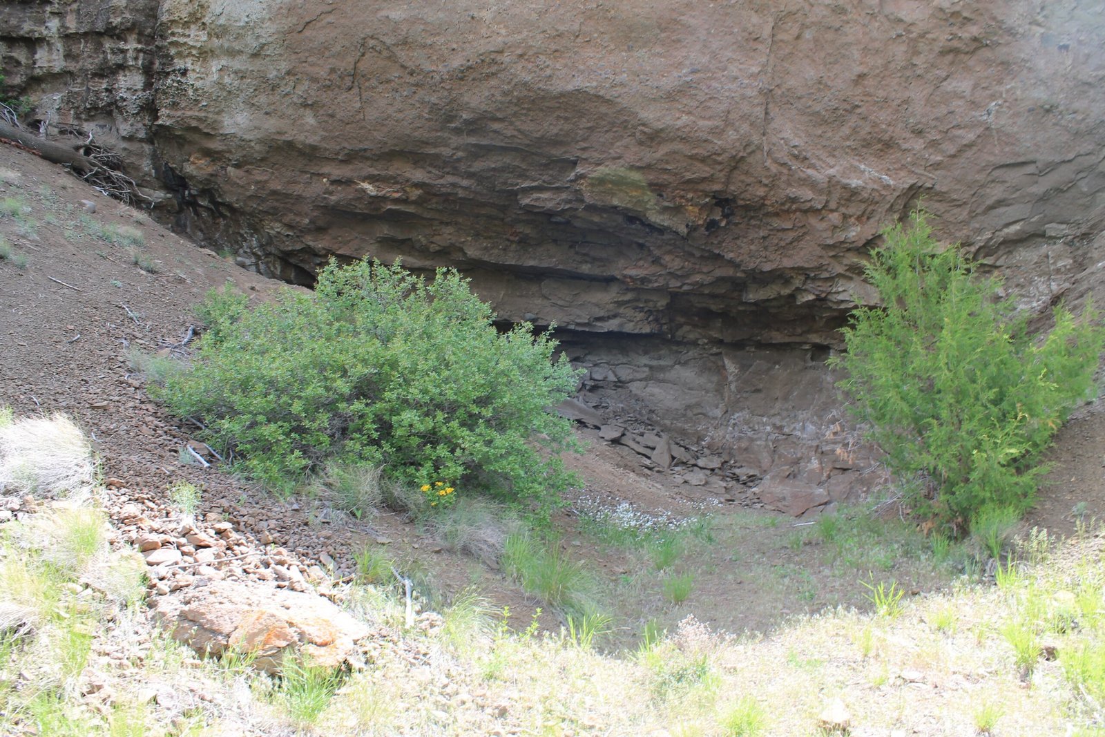 The San Pedro Mountains Mummy (USA) (image credits: wikimedia)
