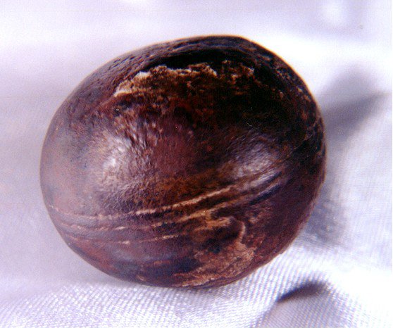 The Klerksdorp Spheres (South Africa) (image credits: wikimedia)