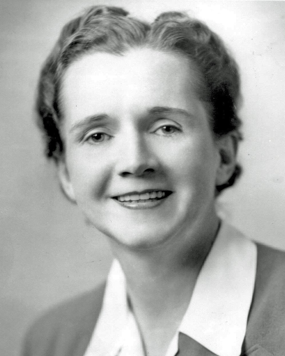 Silent Spring by Rachel Carson (image credits: wikimedia)
