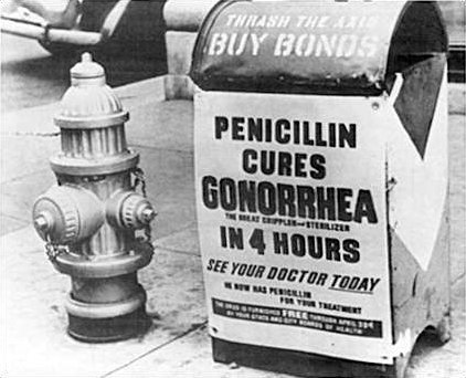 Penicillin – Accidental Mold, Life-Saving Medicine (image credits: wikimedia)