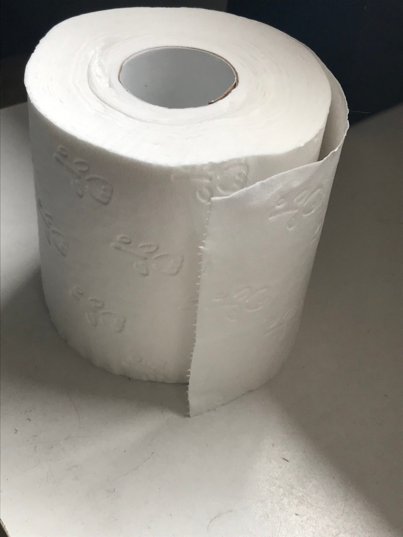 A Roll of Toilet Paper (image credits: wikimedia)