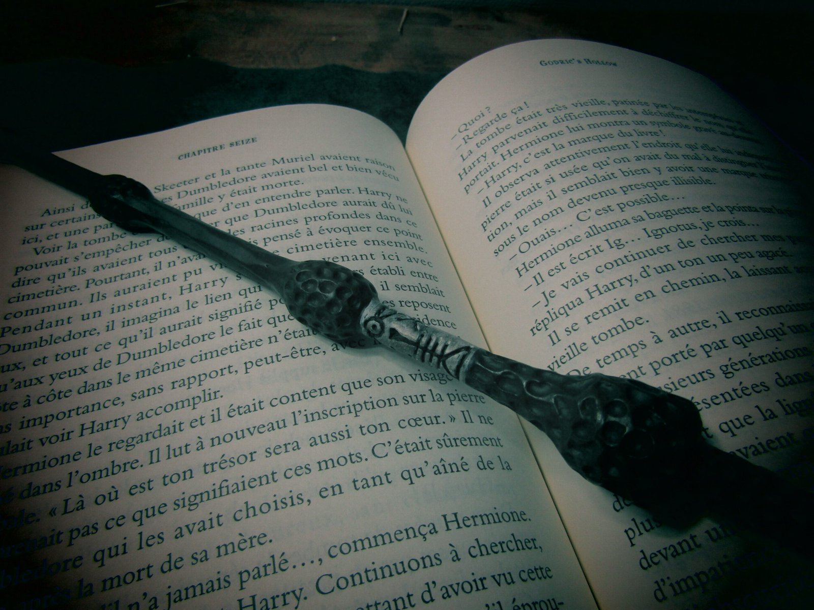 When a Single Book Lights Up a Childhood (image credits: wikimedia)
