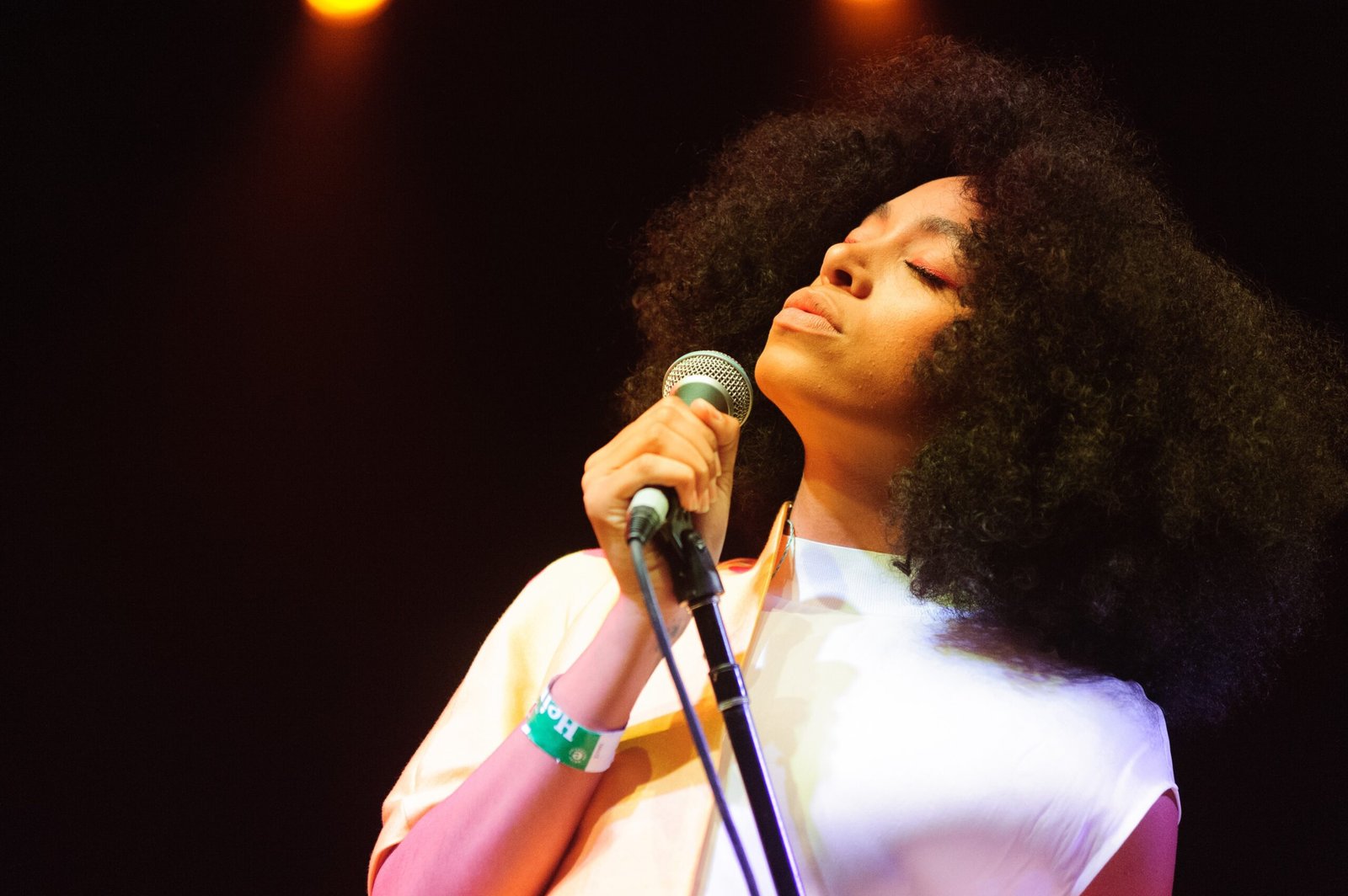 Solange at Coachella 2014 – Black Empowerment (image credits: wikimedia)