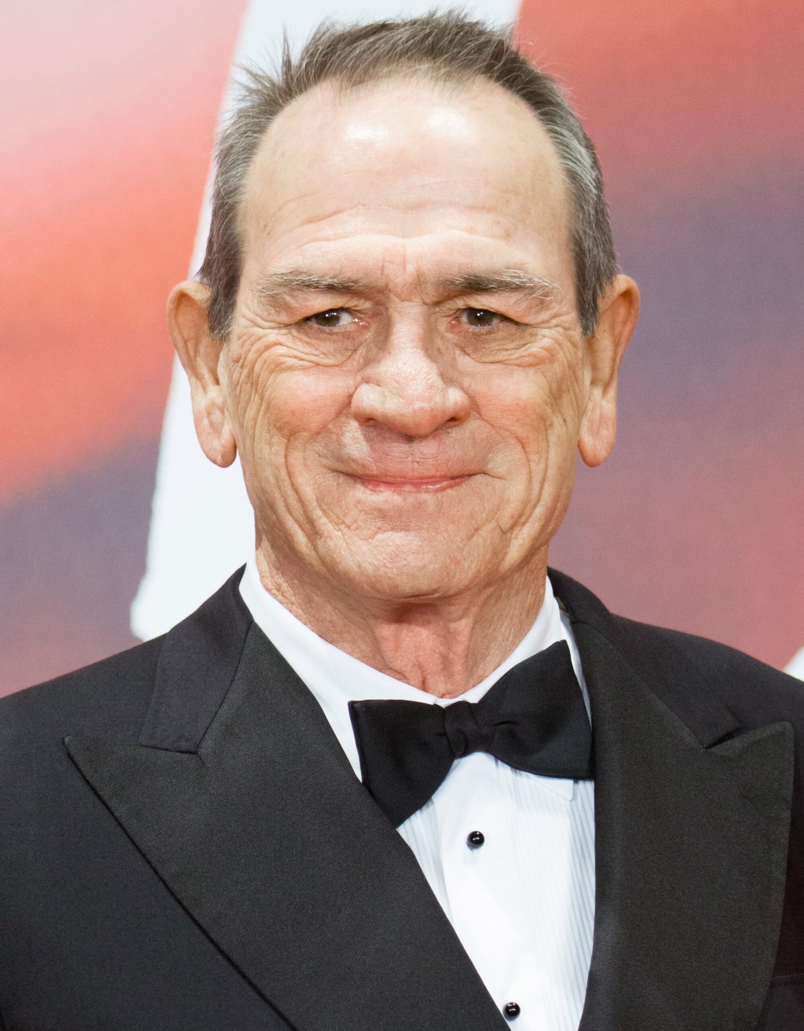 Tommy Lee Jones: The Gritty Realist (image credits: wikimedia)