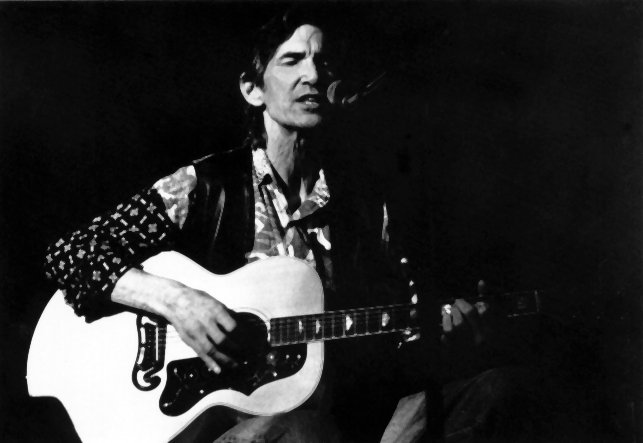 Townes Van Zandt (image credits: wikimedia)