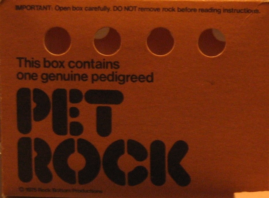 USB Pet Rock (image credits: wikimedia)