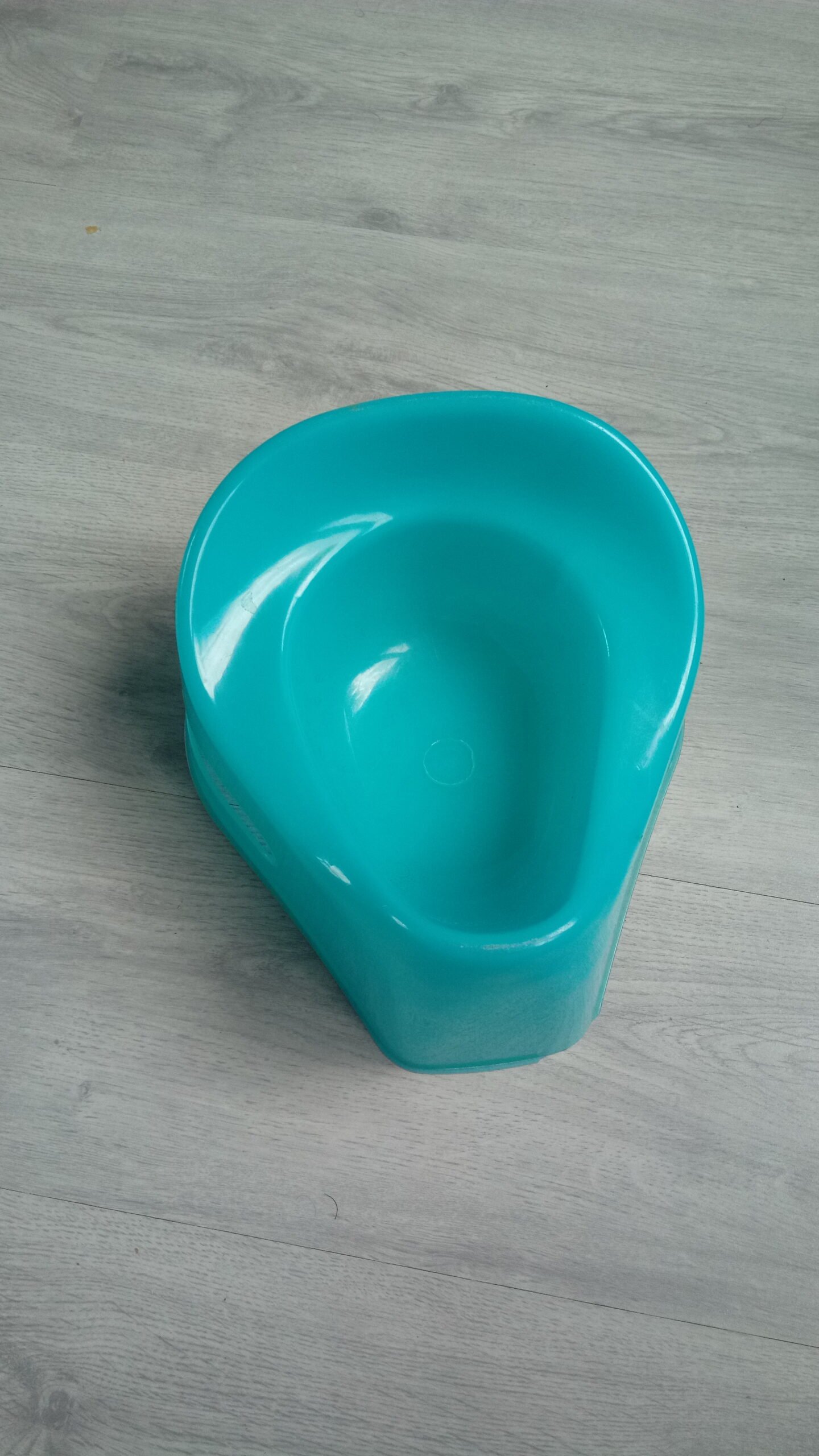 iPotty (image credits: wikimedia)