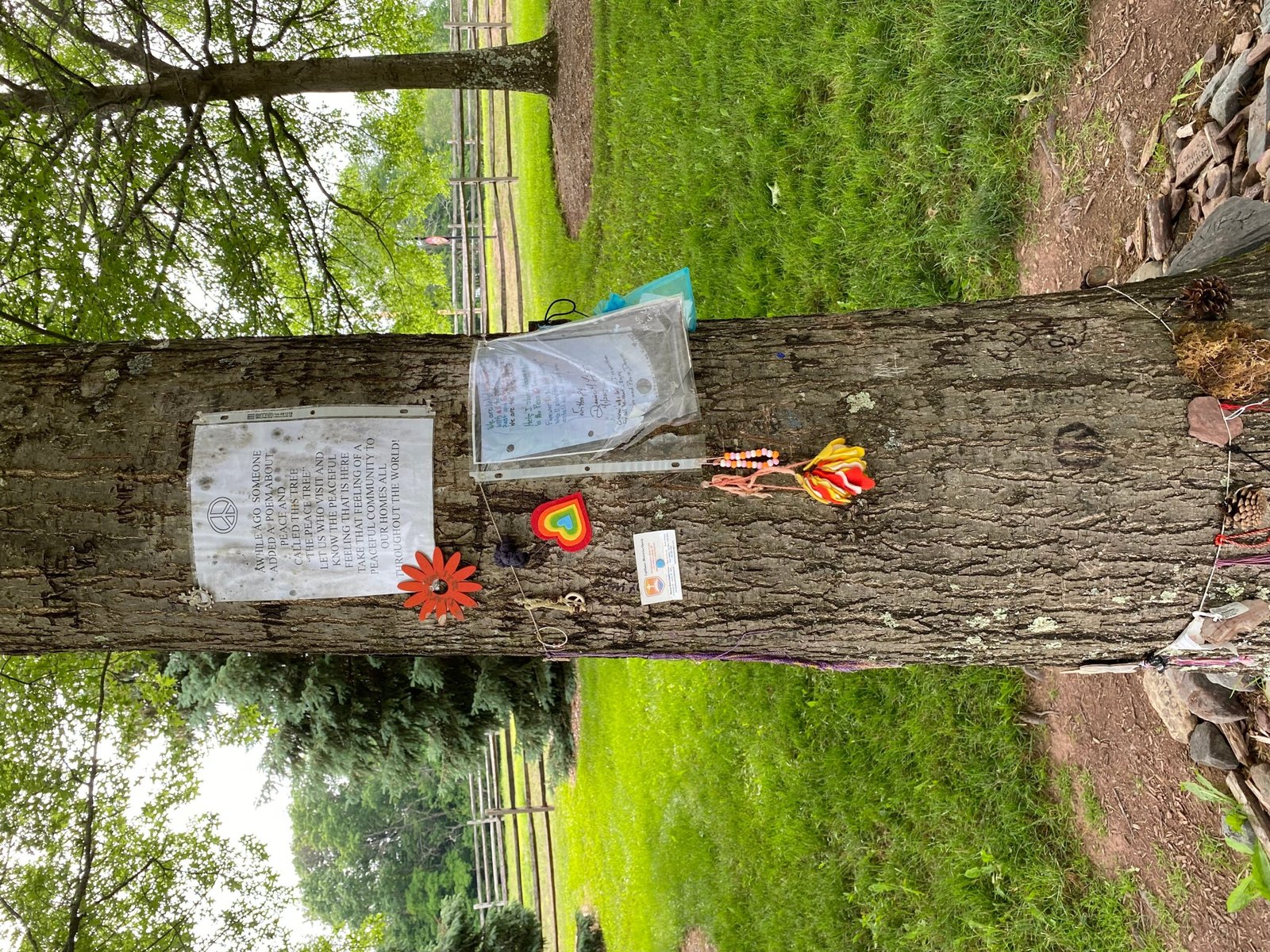 6. Peace Against All Odds (image credits: wikimedia)