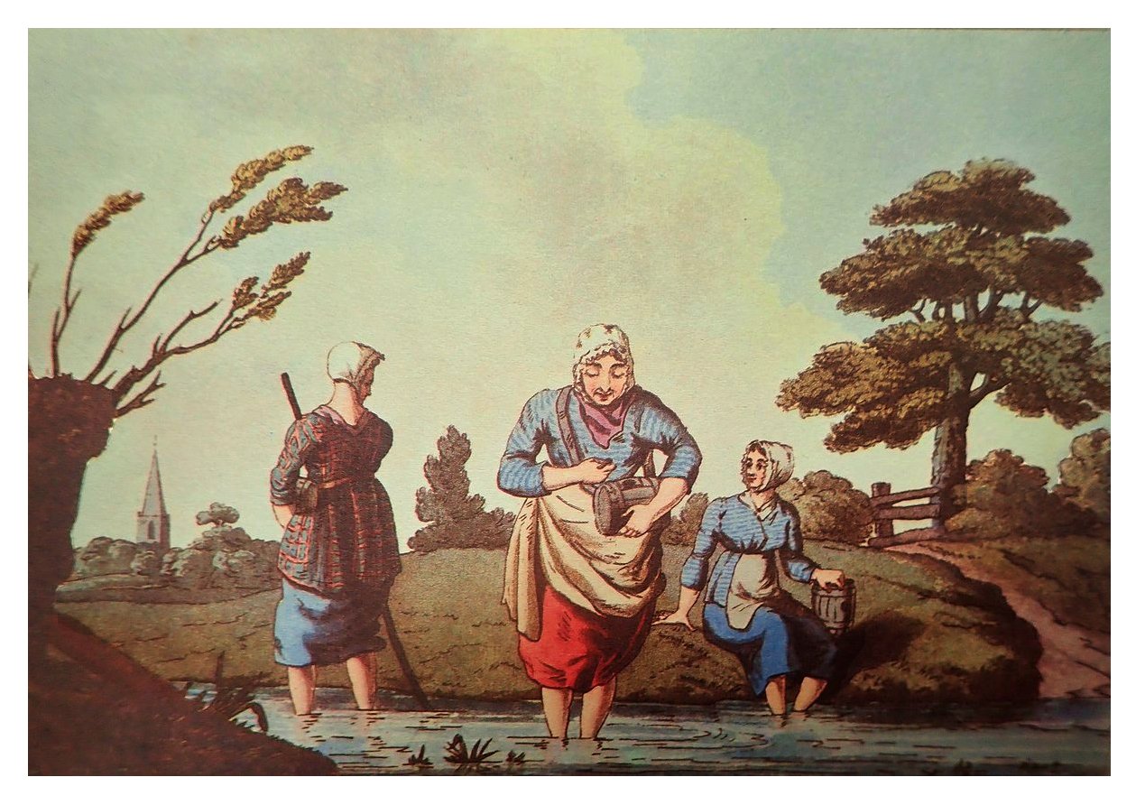 2. Leech Collector (image credits: wikimedia)
