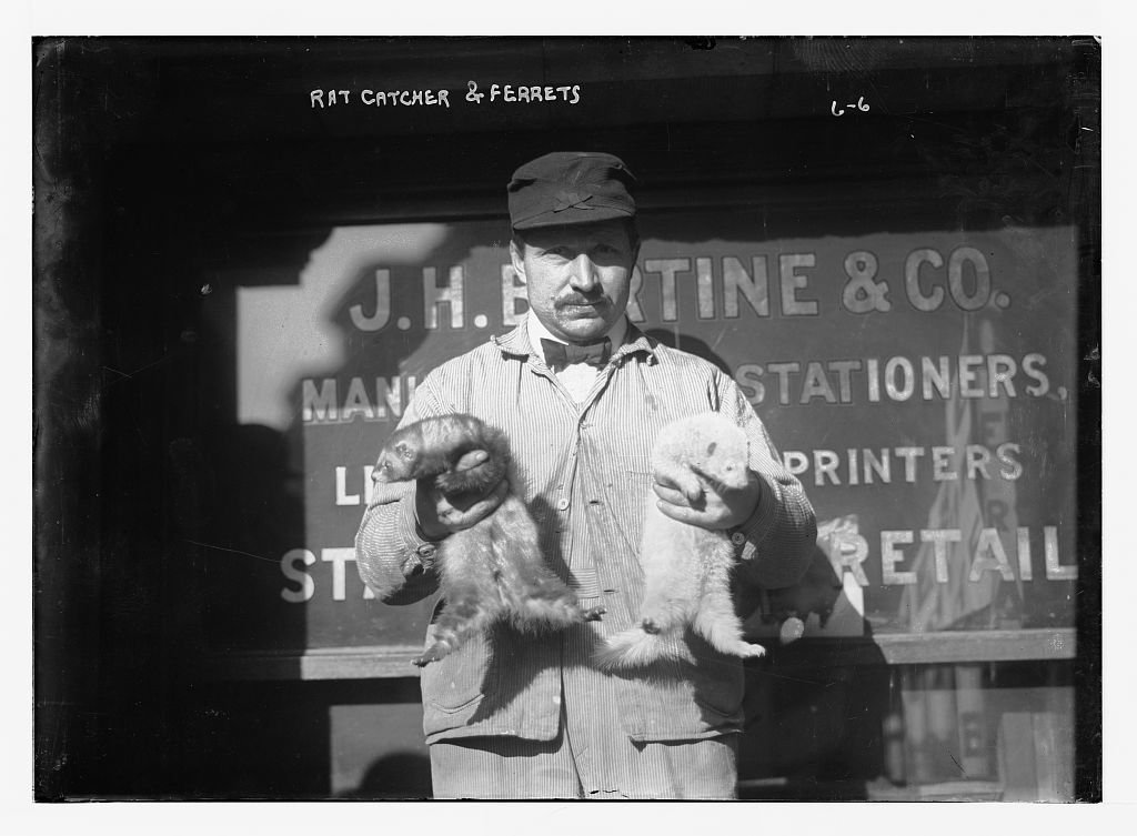 3. Rat Catcher (image credits: wikimedia)