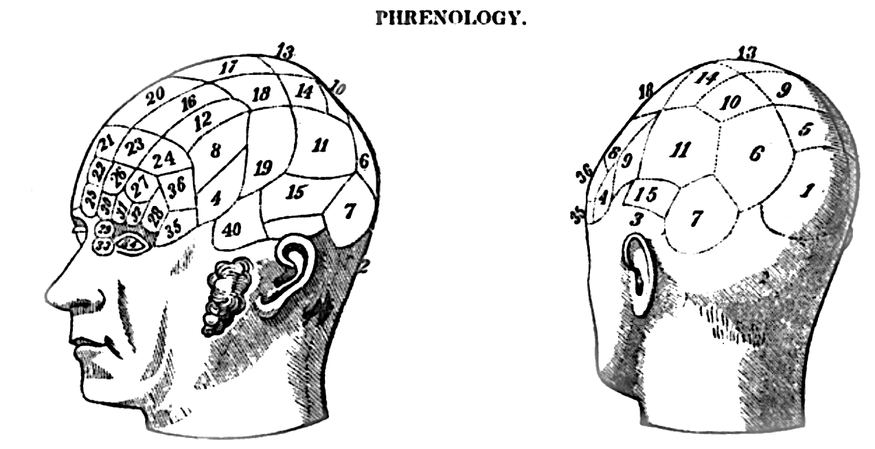 16. Phrenologist (image credits: wikimedia)