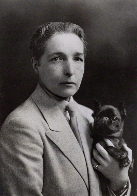 The Well of Loneliness by Radclyffe Hall (image credits: wikimedia)