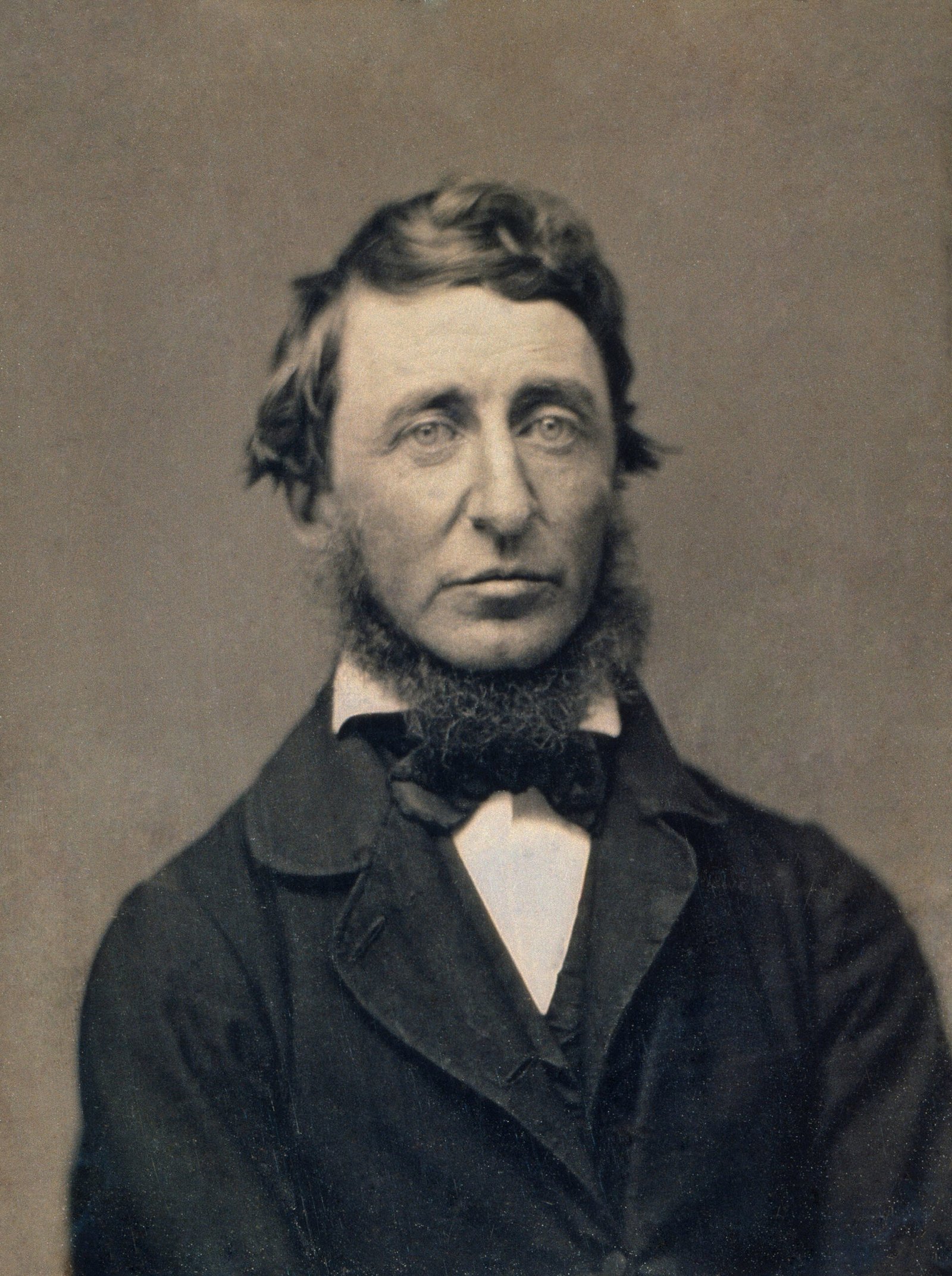 Walden by Henry David Thoreau (image credits: wikimedia)