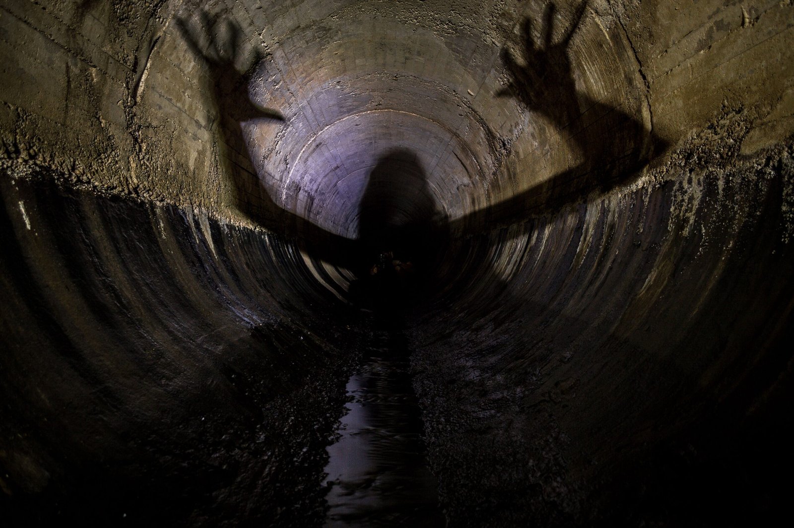 The Monster You Don’t See (image credits: wikimedia)