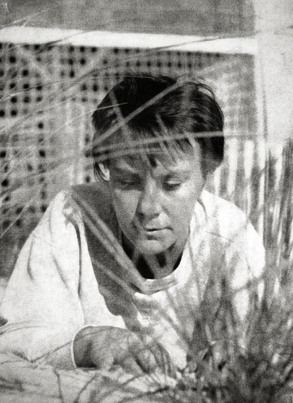 Go Set a Watchman by Harper Lee (image credits: wikimedia)