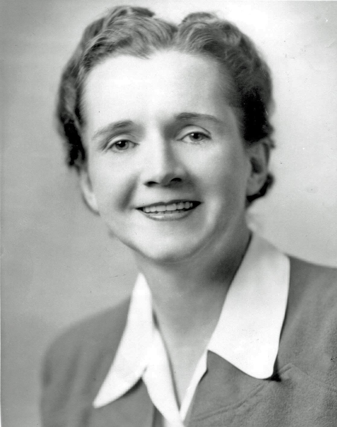 Silent Spring by Rachel Carson (image credits: wikimedia)