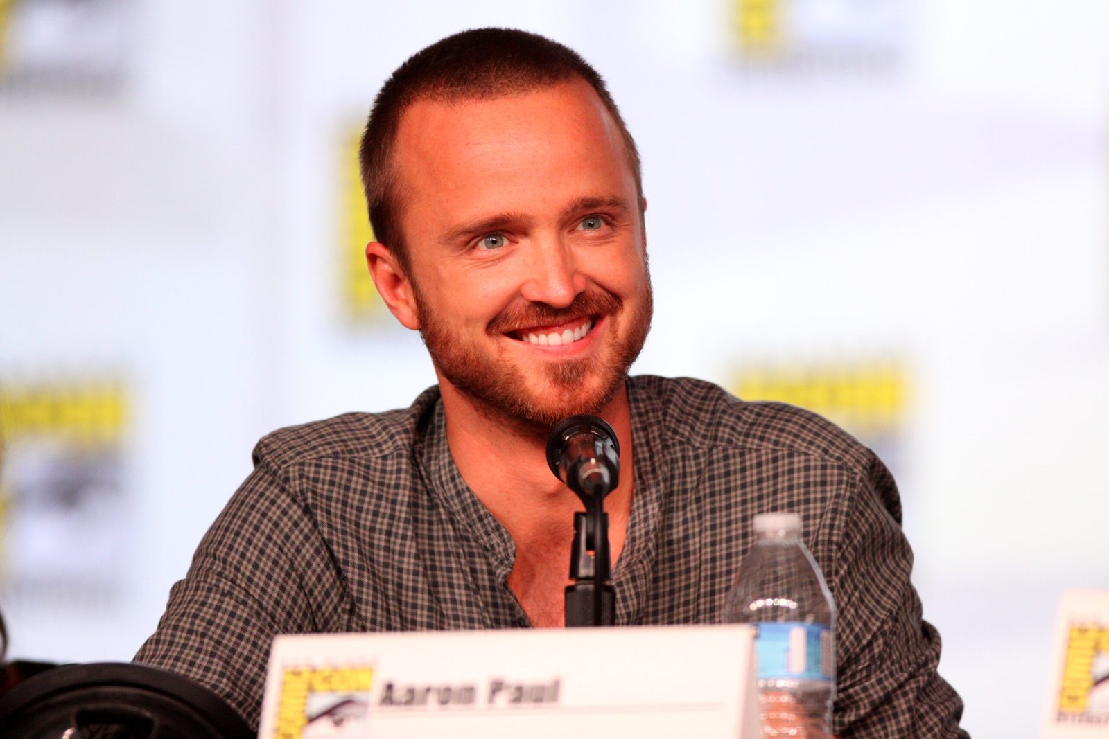 Jesse Pinkman’s Arc – Breaking Bad (image credits: wikimedia)