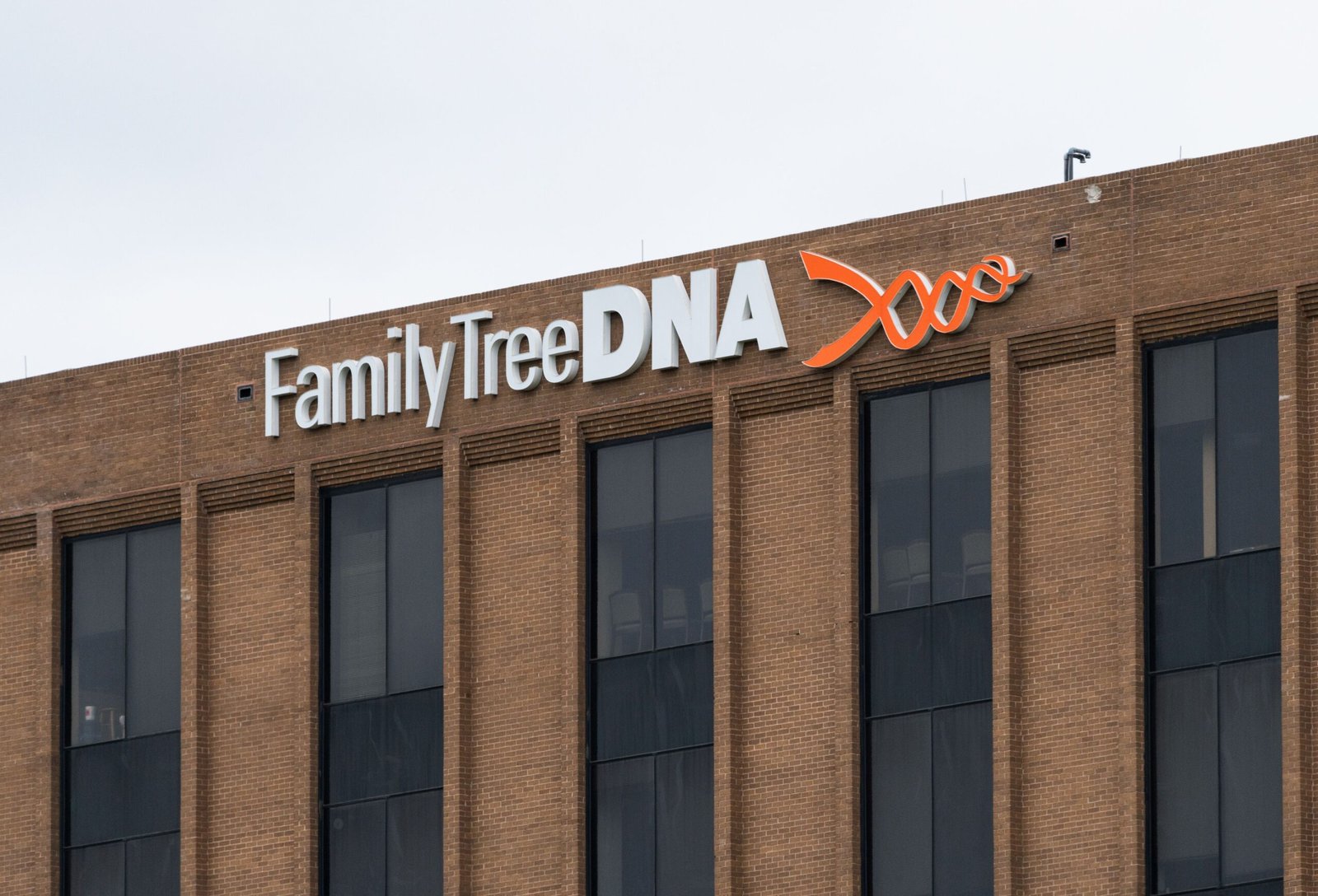 17. DNA Unveils Adoption Secret (image credits: wikimedia)