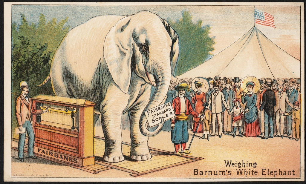 White Elephant (image credits: rawpixel)