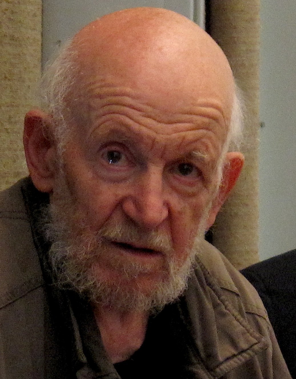 Gustav Metzger’s Auto-Destructive Art (1960s): Self-Destruction on Display (image credits: wikimedia)