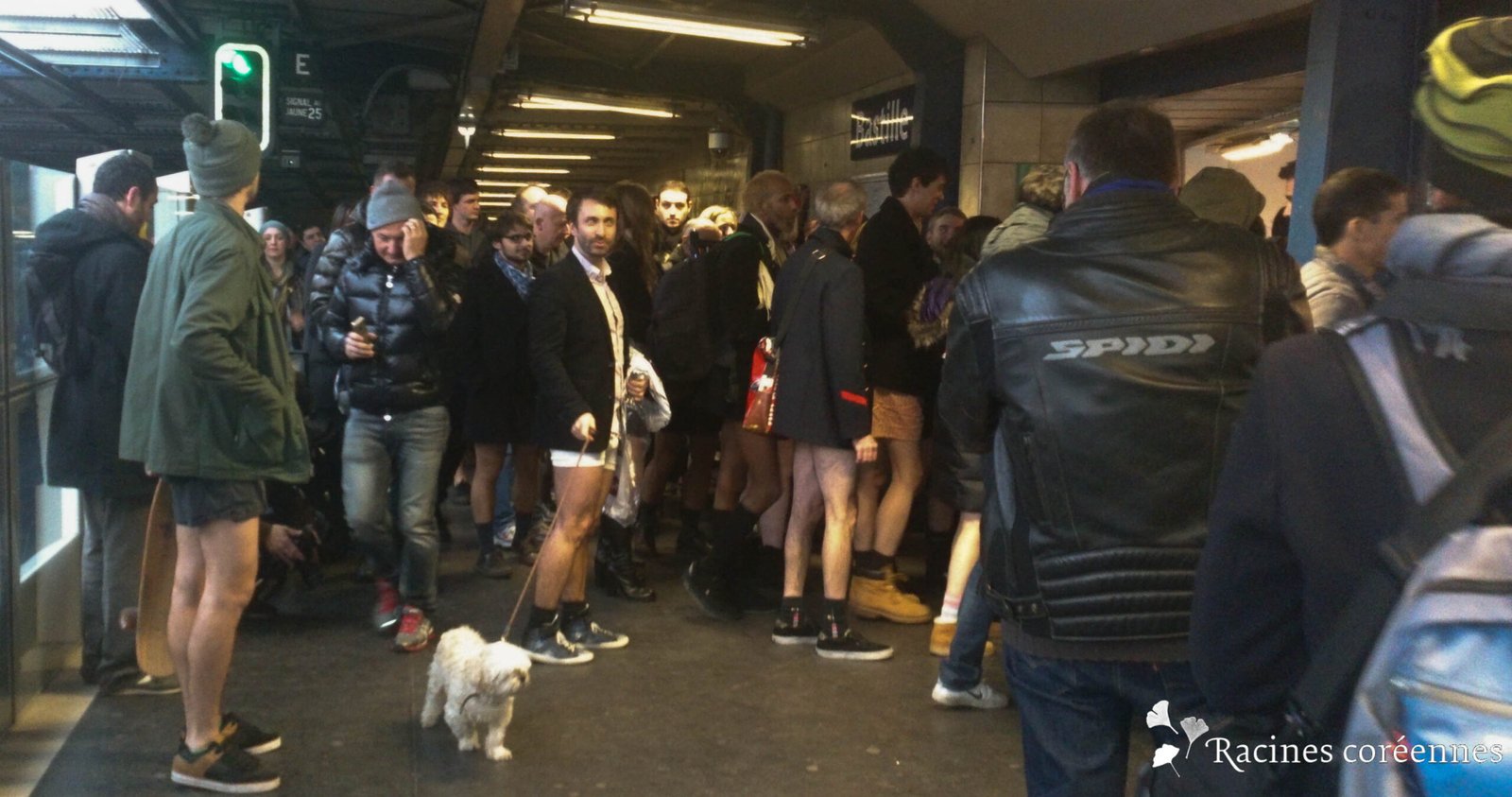 The No Pants Subway Ride (image credits: wikimedia)