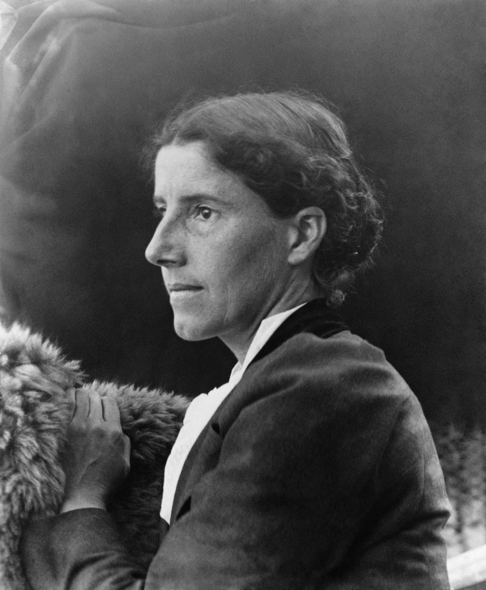 Herland by Charlotte Perkins Gilman (image credits: wikimedia)