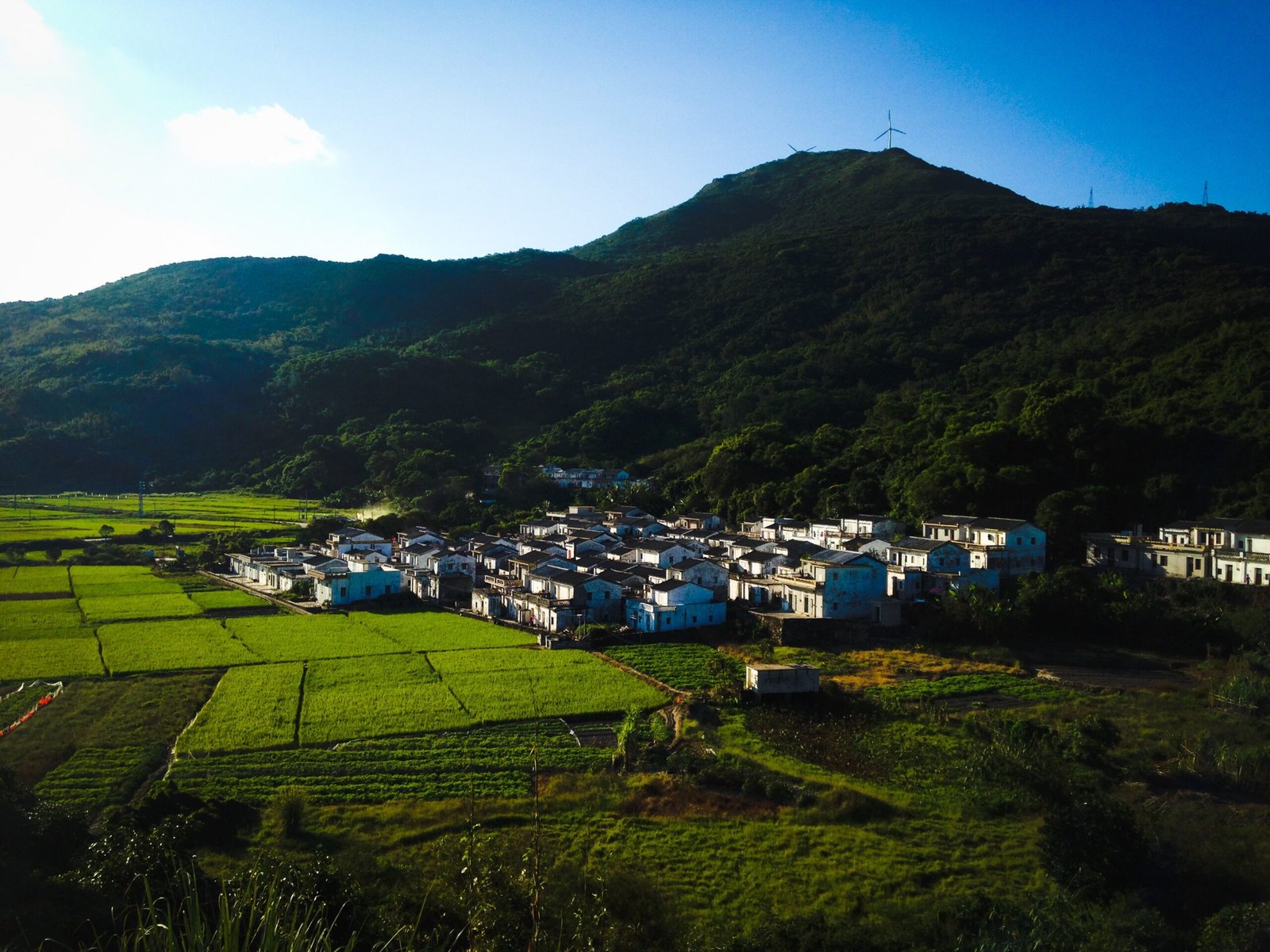 Wang Zhenyi: The Enlightened Astronomer of Qing China (image credits: wikimedia)
