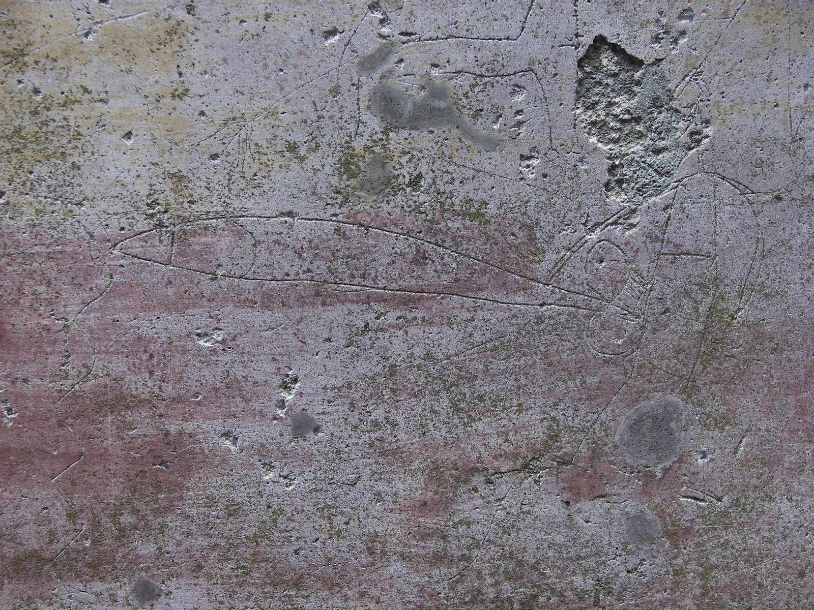 Pompeii’s Walls: Everyday Life Preserved (image credits: wikimedia)