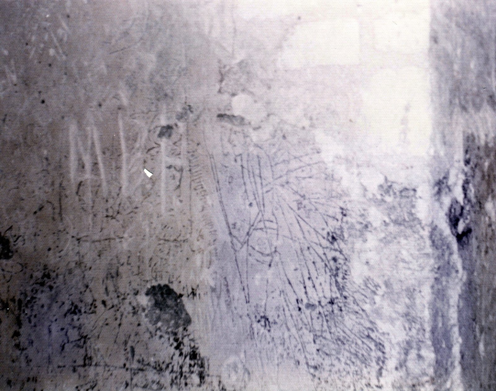 Maya Civilization: Graffiti as Cultural Expression (image credits: wikimedia)