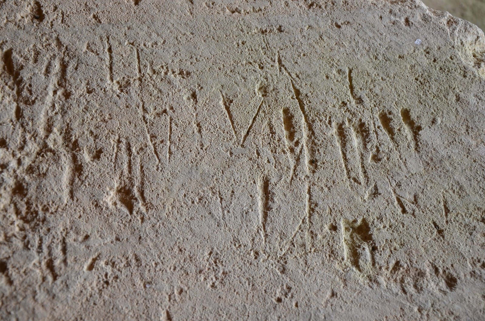 Ancient Greece: Graffiti Reflecting Literacy and Humor (image credits: wikimedia)